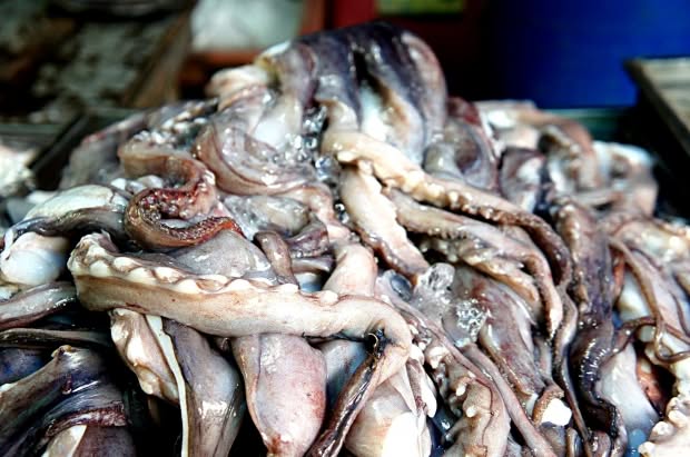 Squid Game cryptocurrency collapses in obvious rip-off